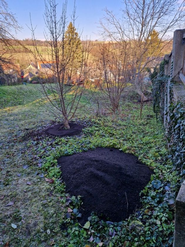 Baumpflege Leistungen