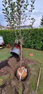 Unterirdische Wurzelballen Verankerung