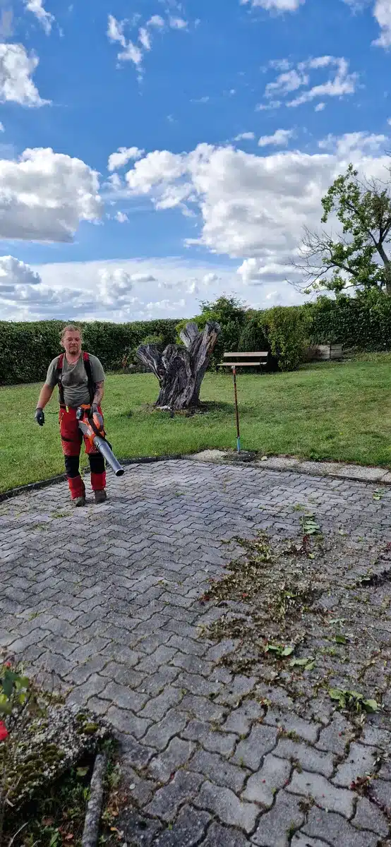 Projektgalerie Baumpflege