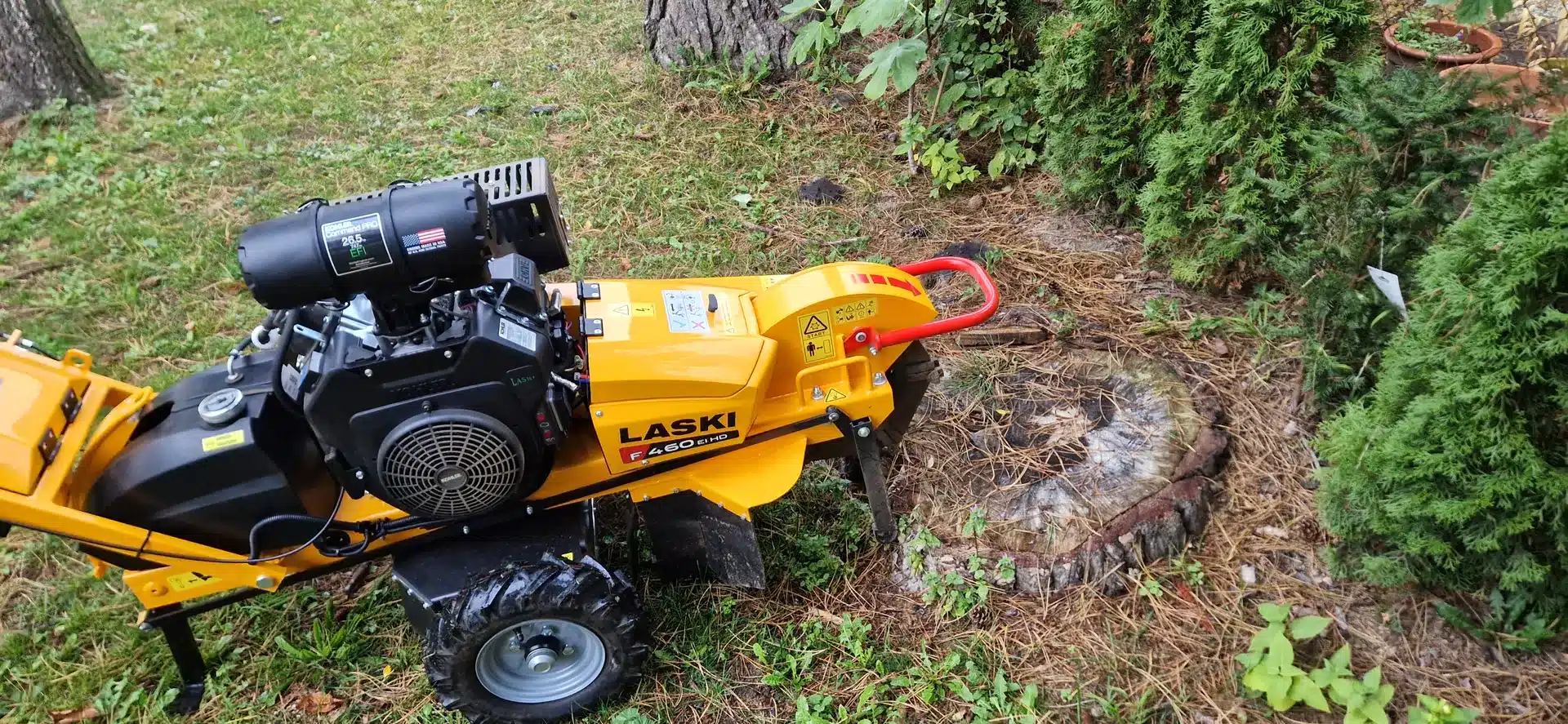 Kiefer Wurzelstockfräse